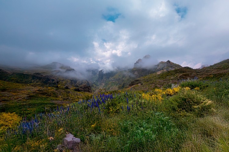 Madeira Islands