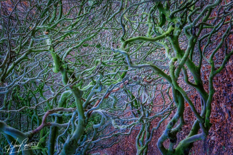 Abstract nature